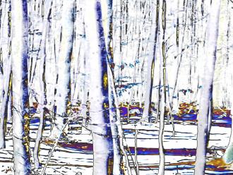 Samstag im Wald Elisabeth Mayr-Keber 2016 100x75cm