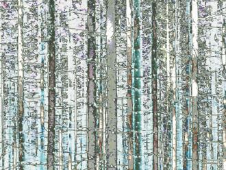 Elisabeth Mayr-Keber Steirischer Wald 2016 120x90cm