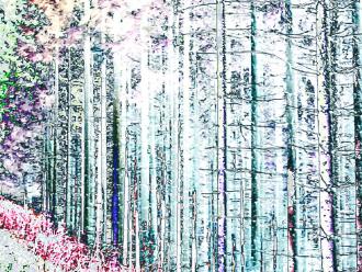 Elisabeth Mayr-Keber Steirischer Wald 2016 100x75cm