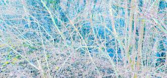 Elisabeth Mayr-Keber 2018 Eiskalt 150x70cm
