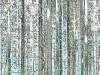 Elisabeth Mayr-Keber Steirischer Wald 2016 120x90cm