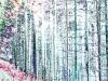 Elisabeth Mayr-Keber Steirischer Wald 2016 100x75cm
